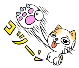 Weakness cat sticker #1708764