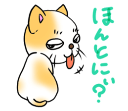 Weakness cat sticker #1708769