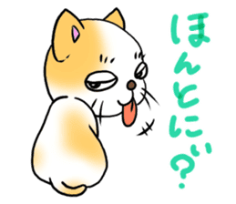 Weakness cat sticker #1708769