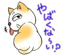 Weakness cat sticker #1708771