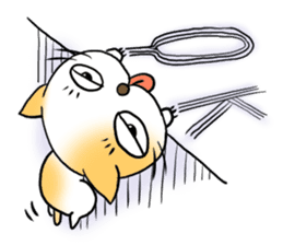 Weakness cat sticker #1708773