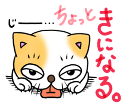 Weakness cat sticker #1708775