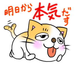 Weakness cat sticker #1708776
