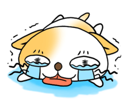 Weakness cat sticker #1708777