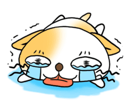 Weakness cat sticker #1708777