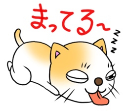 Weakness cat sticker #1708781