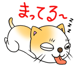 Weakness cat sticker #1708781
