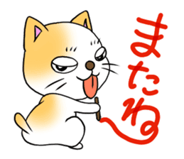 Weakness cat sticker #1708782