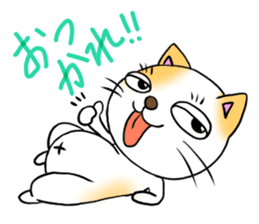 Weakness cat sticker #1708784