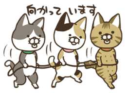 nananeko4-Japanese sticker #1708921
