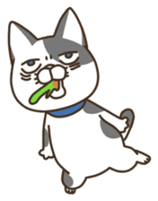 nananeko4-Japanese sticker #1708943