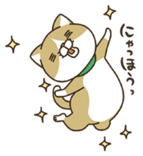nananeko4-Japanese sticker #1708944
