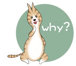 Cat friend(E) sticker #1709281