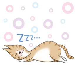 Cat friend(E) sticker #1709286