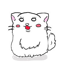 Cat fluffy