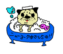 kashige daliy life sticker #1709996