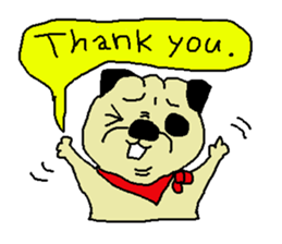 kashige daliy life sticker #1710013