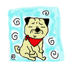 kashige daliy life sticker #1710017