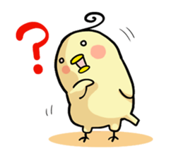 Every day chick sticker #1712263