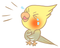 Cockatiel Cotton Candy & Jin's Daily sticker #1713985
