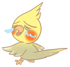 Cockatiel Cotton Candy & Jin's Daily sticker #1713988
