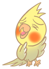 Cockatiel Cotton Candy & Jin's Daily sticker #1713989