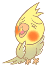 Cockatiel Cotton Candy & Jin's Daily sticker #1713989