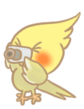Cockatiel Cotton Candy & Jin's Daily sticker #1713994