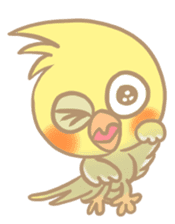 Cockatiel Cotton Candy & Jin's Daily sticker #1713999