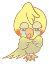 Cockatiel Cotton Candy & Jin's Daily sticker #1714001