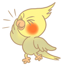Cockatiel Cotton Candy & Jin's Daily sticker #1714004