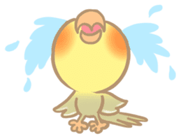 Cockatiel Cotton Candy & Jin's Daily sticker #1714010