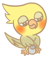 Cockatiel Cotton Candy & Jin's Daily sticker #1714013
