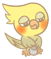 Cockatiel Cotton Candy & Jin's Daily sticker #1714013