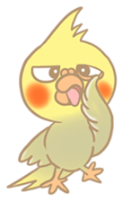 Cockatiel Cotton Candy & Jin's Daily sticker #1714016