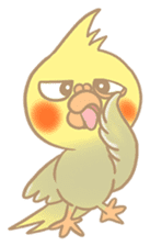 Cockatiel Cotton Candy & Jin's Daily sticker #1714016