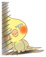 Cockatiel Cotton Candy & Jin's Daily sticker #1714019