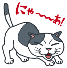 Johnny the ugly cat sticker #1714745