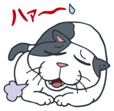 Johnny the ugly cat sticker #1714766