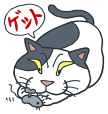 Johnny the ugly cat sticker #1714768