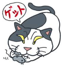 Johnny the ugly cat sticker #1714768