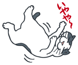 Johnny the ugly cat sticker #1714772