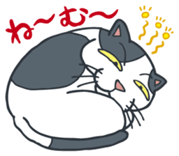 Johnny the ugly cat sticker #1714782