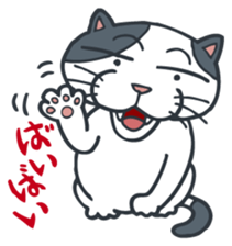 Johnny the ugly cat sticker #1714783