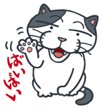 Johnny the ugly cat sticker #1714783