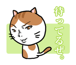 Handsome Cats Sticker. sticker #1714988