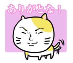 Handsome Cats Sticker. sticker #1714993