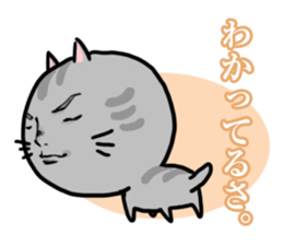 Handsome Cats Sticker. sticker #1714998