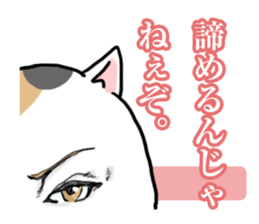 Handsome Cats Sticker. sticker #1715000