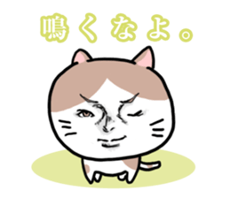 Handsome Cats Sticker. sticker #1715001